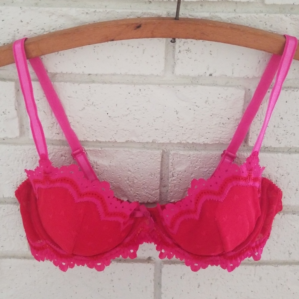Red Mesh and Lace Bra